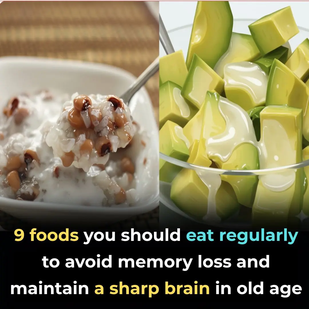 9 Foods You Should Eat Regularly to Prevent Memory Loss and Keep Your Brain Sharp as You Age