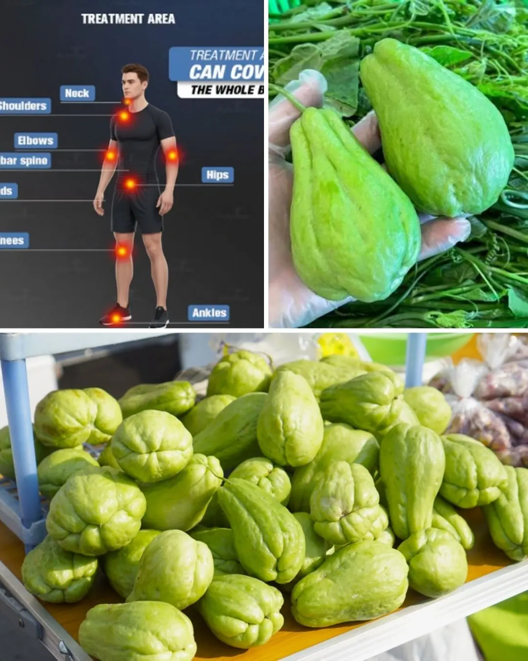Ditch the Pills: Unlock Chayote’s Secret to Pain-Free, Vibrant Health! 🥗