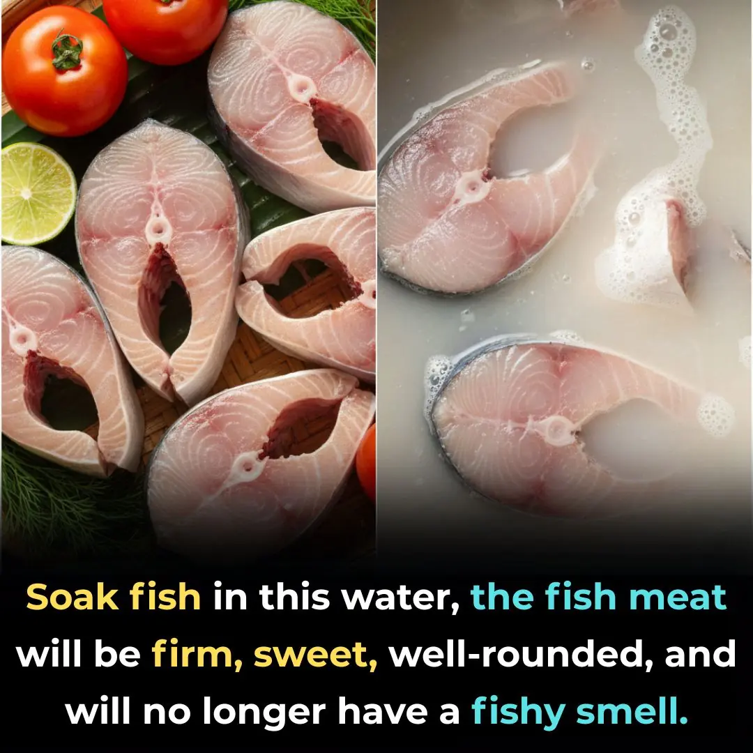 Soak fish in this water, the fish meat will be firm, sweet, well-rounded, and will no longer have a fishy smell