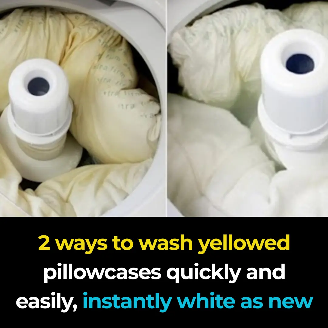 2 quick and easy ways to wash yellowed pillow inserts, making them instantly white and fresh like new
