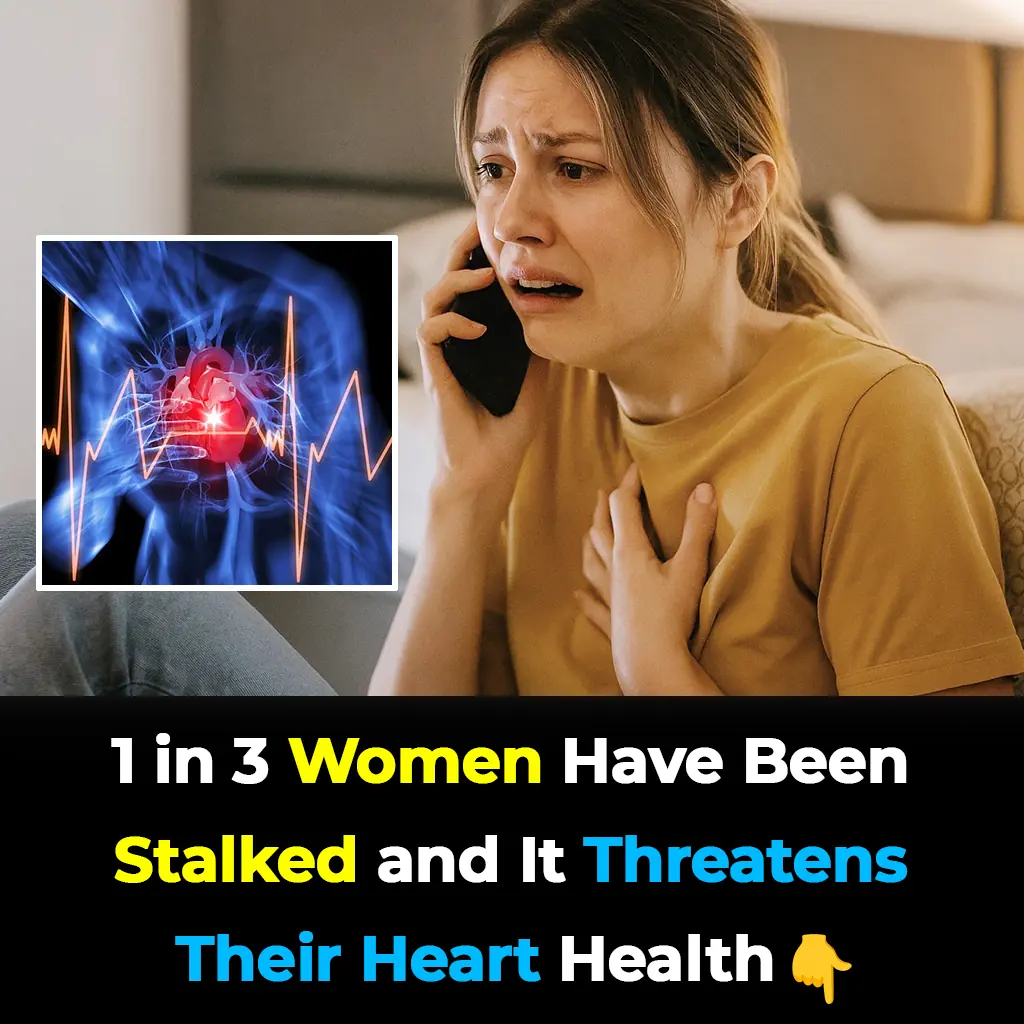 Silent Danger: How Stalking Secretly Raises Women’s Risk of Heart Attack and Stroke