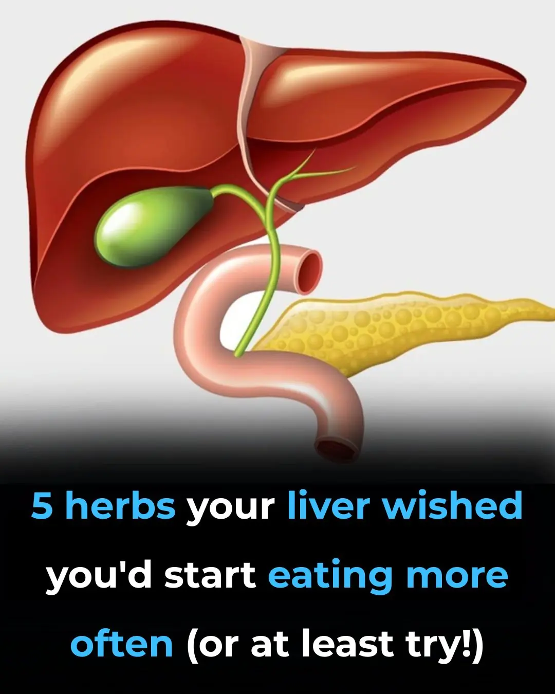 5 Herbs Your Liver Wished You’d Start Eating More Often (Or At Least Try!)