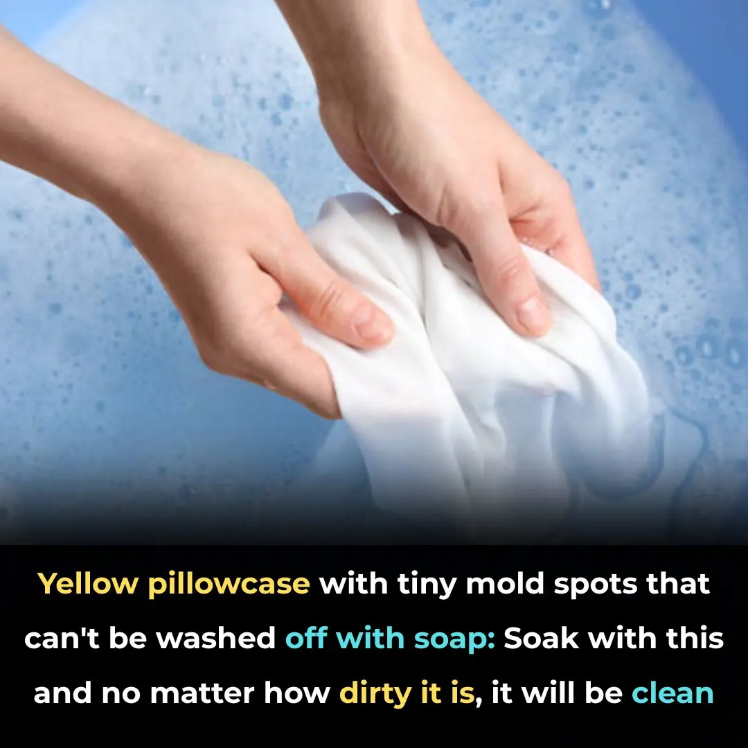 Pillow Inserts Turning Yellow with Tiny Mold Spots? Washing with Soap Doesn’t Work? Soak with This to Get Them Spotlessly Clean
