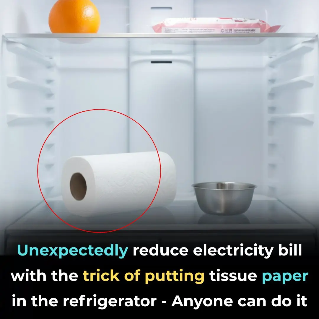 Unexpectedly reduce electricity bill with the trick of putting tissue paper in the refrigerator - Anyone can do it
