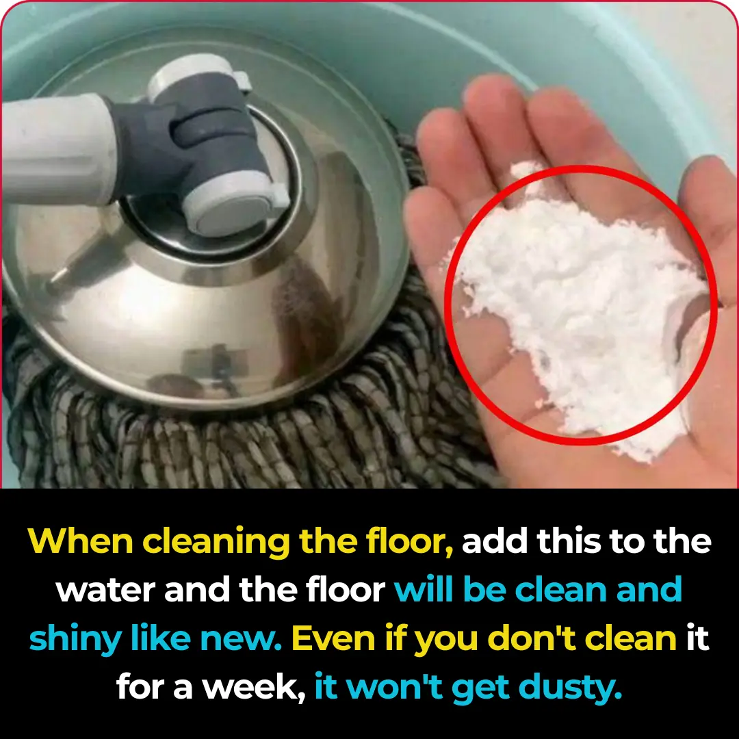 Clean your house with this simple trick using water, and the house will be as clean as new, with no dust sticking, even if you don't clean it for a whole week.