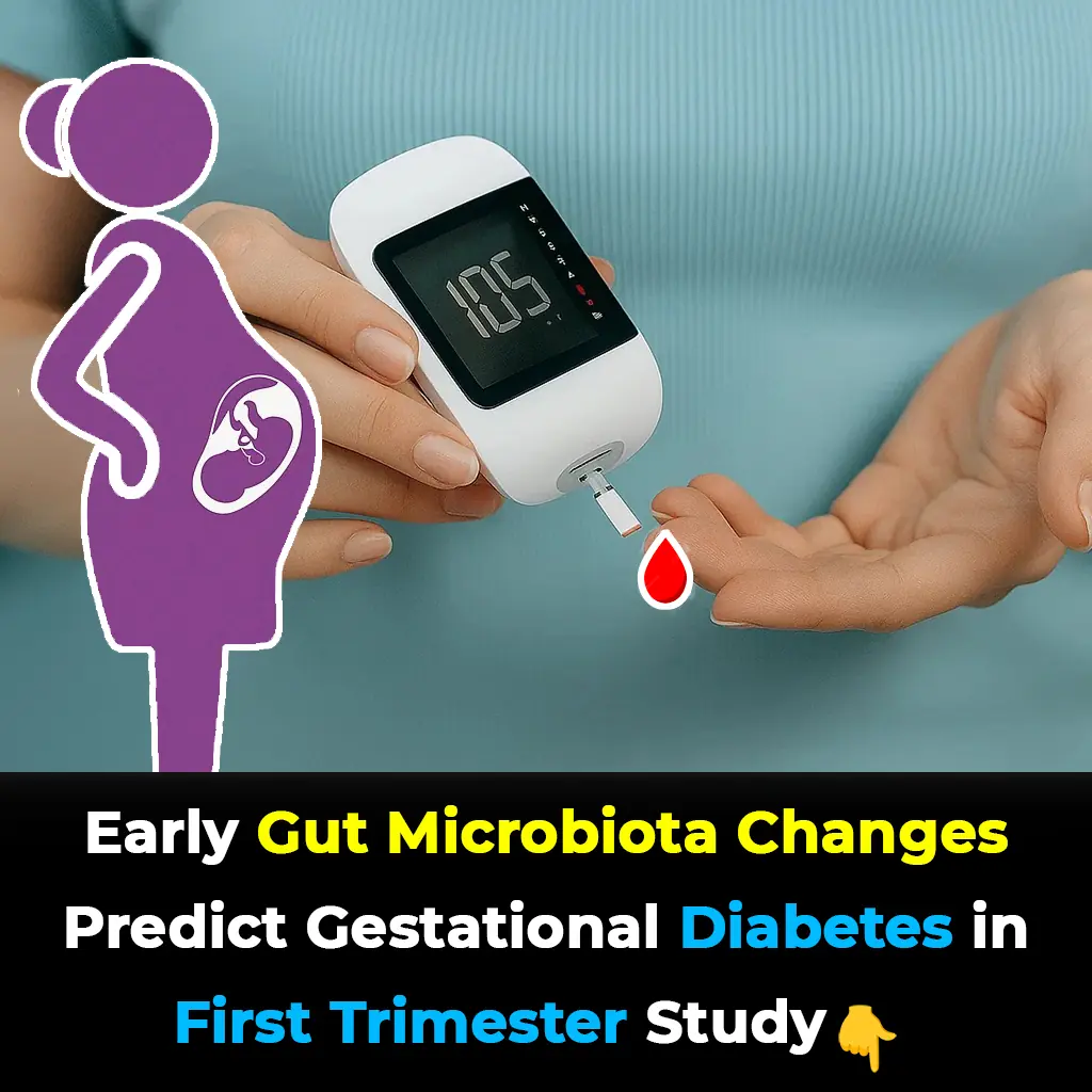 Gut Health in Early Pregnancy Tied to Gestational Diabetes Development