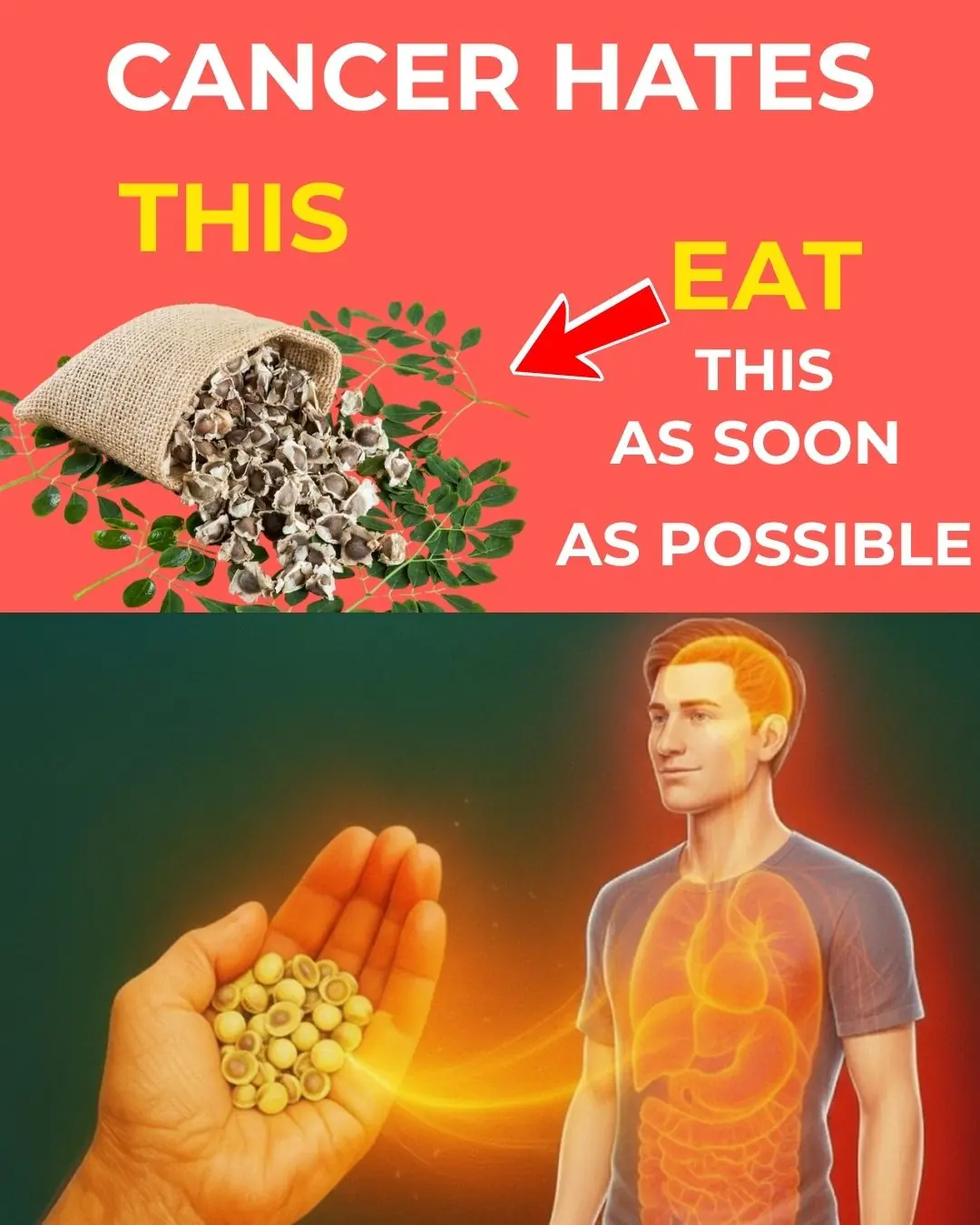 The Anti-Cancer Diet: Cancer Fighting Foods to Help Prevent Cancer (Evidence Based)