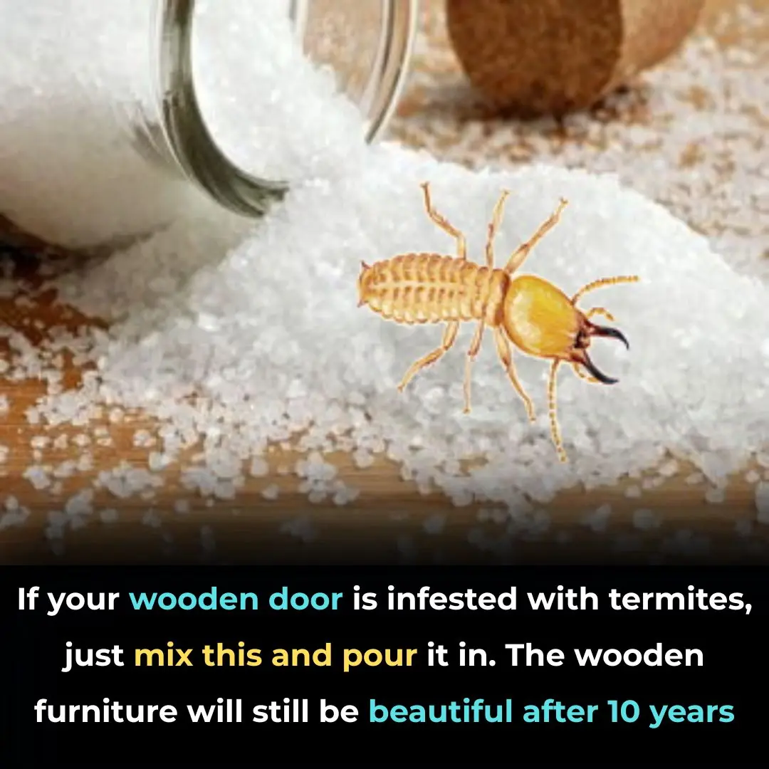If your wooden door is infested with termites, just mix this and pour it in. The wooden furniture will still be beautiful after 10 years