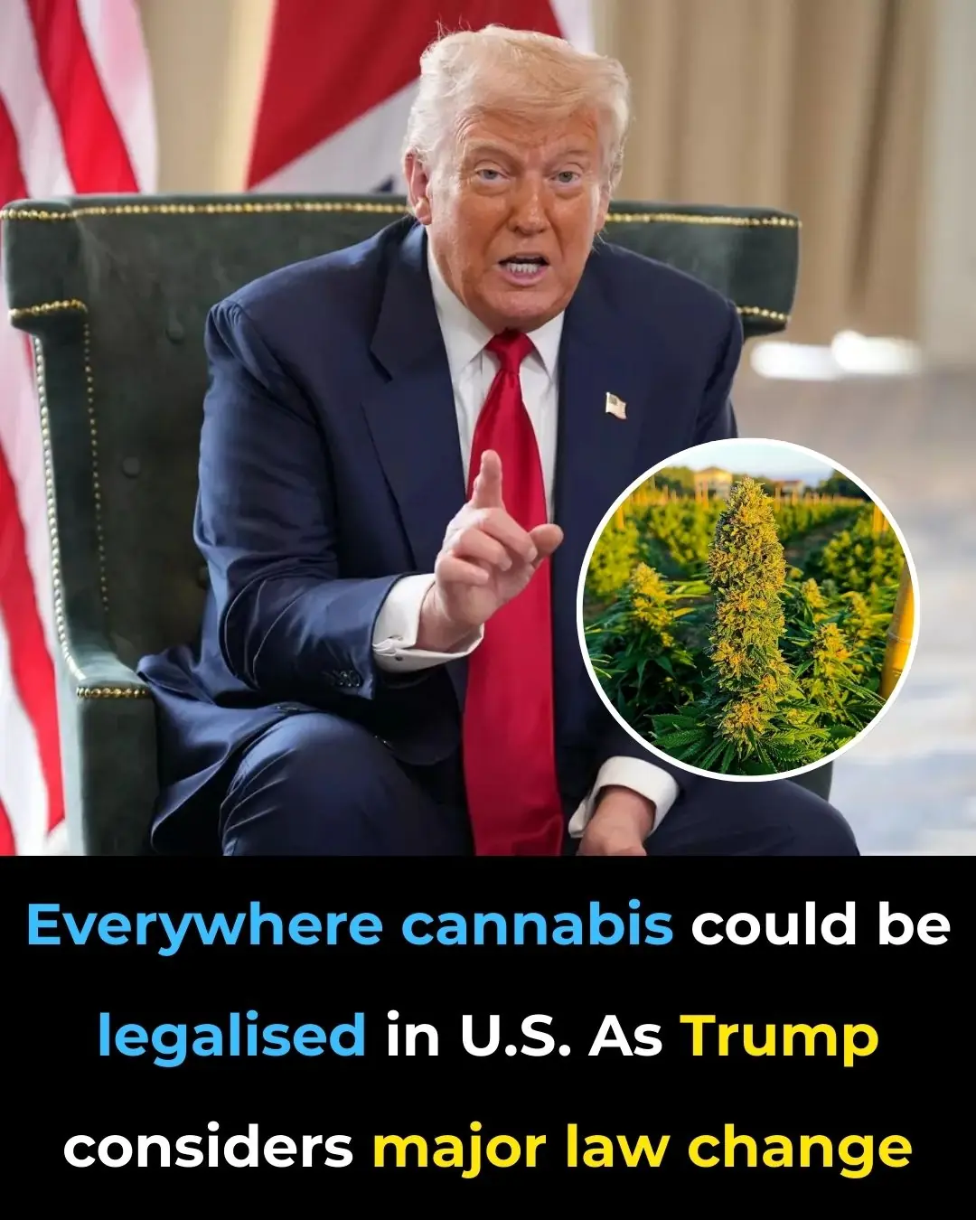 Everywhere Cannabis Could Be Legalised in US as Trump Considers Major Law Change