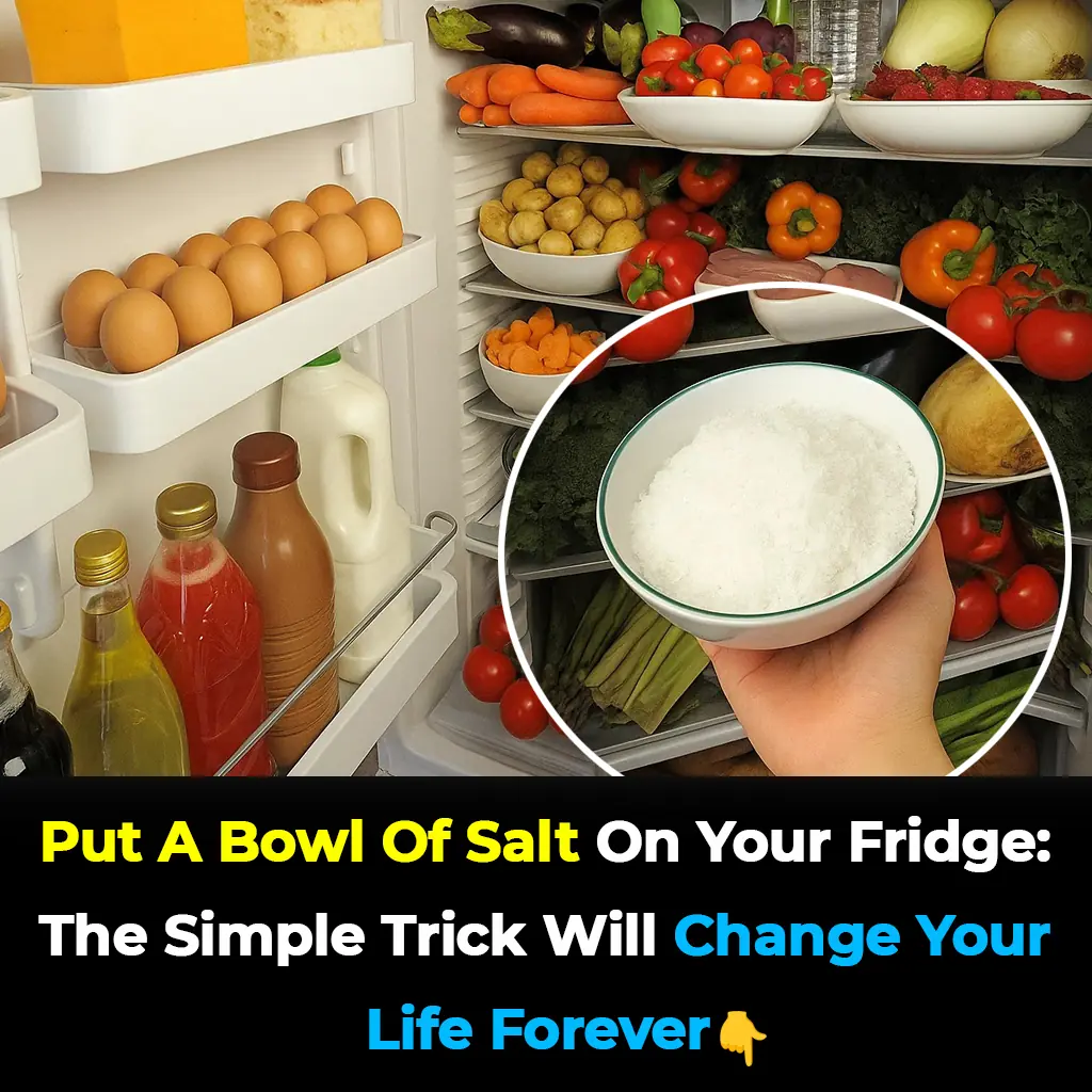 Put a Bowl of Salt in the Fridge: The Genius Trick I Regret Not Knowing for 30 Years