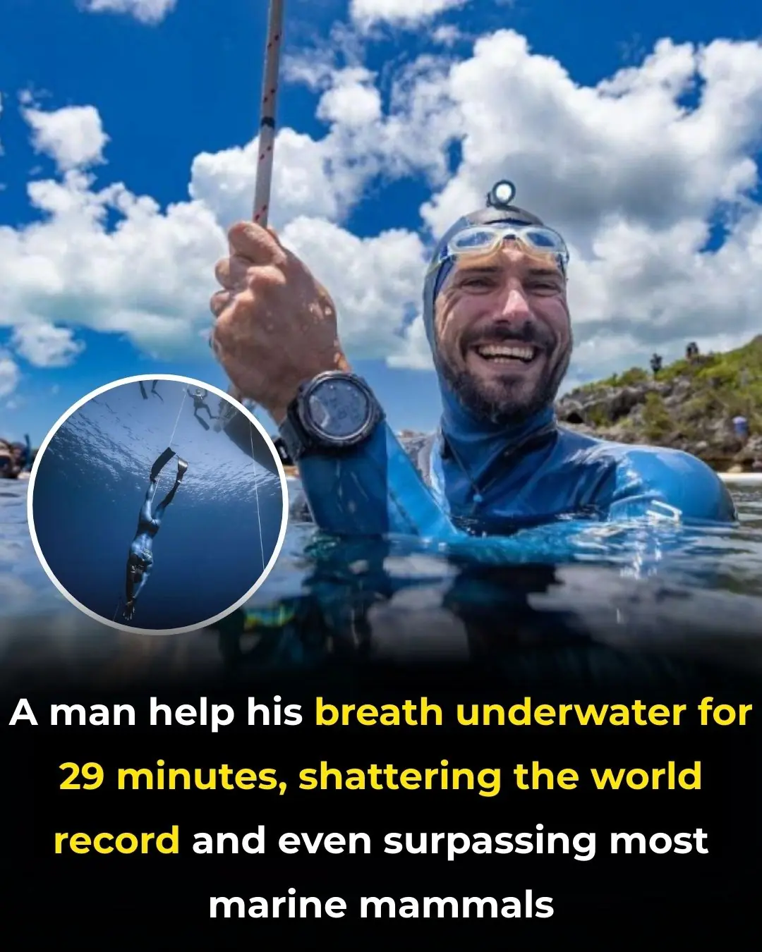 A Man Held His Breath Underwater for 29 Minutes, Shattering the World Record and Even Surpassing Most Marine Mammals