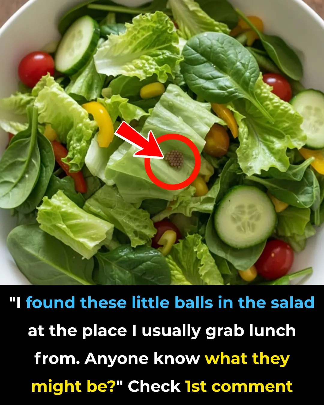 Tiny Brown Balls in Your Salad