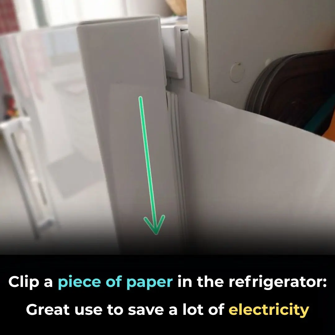 Clip a piece of paper in the refrigerator: Great use to save a lot of electricity