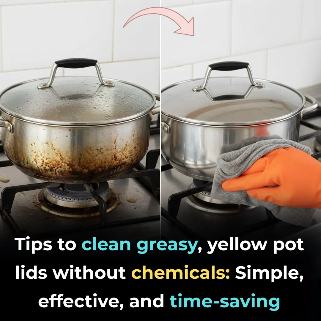 Tips to clean greasy, yellow pot lids without chemicals: Simple, effective, and time-saving
