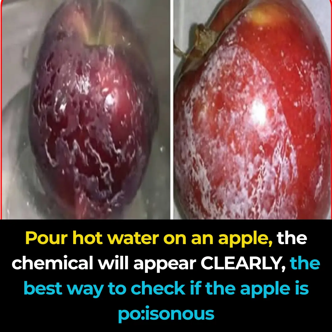 Pour hot water over the apple, the chemicals will become CLEARLY VISIBLE, the best way to check for poisonous apples.