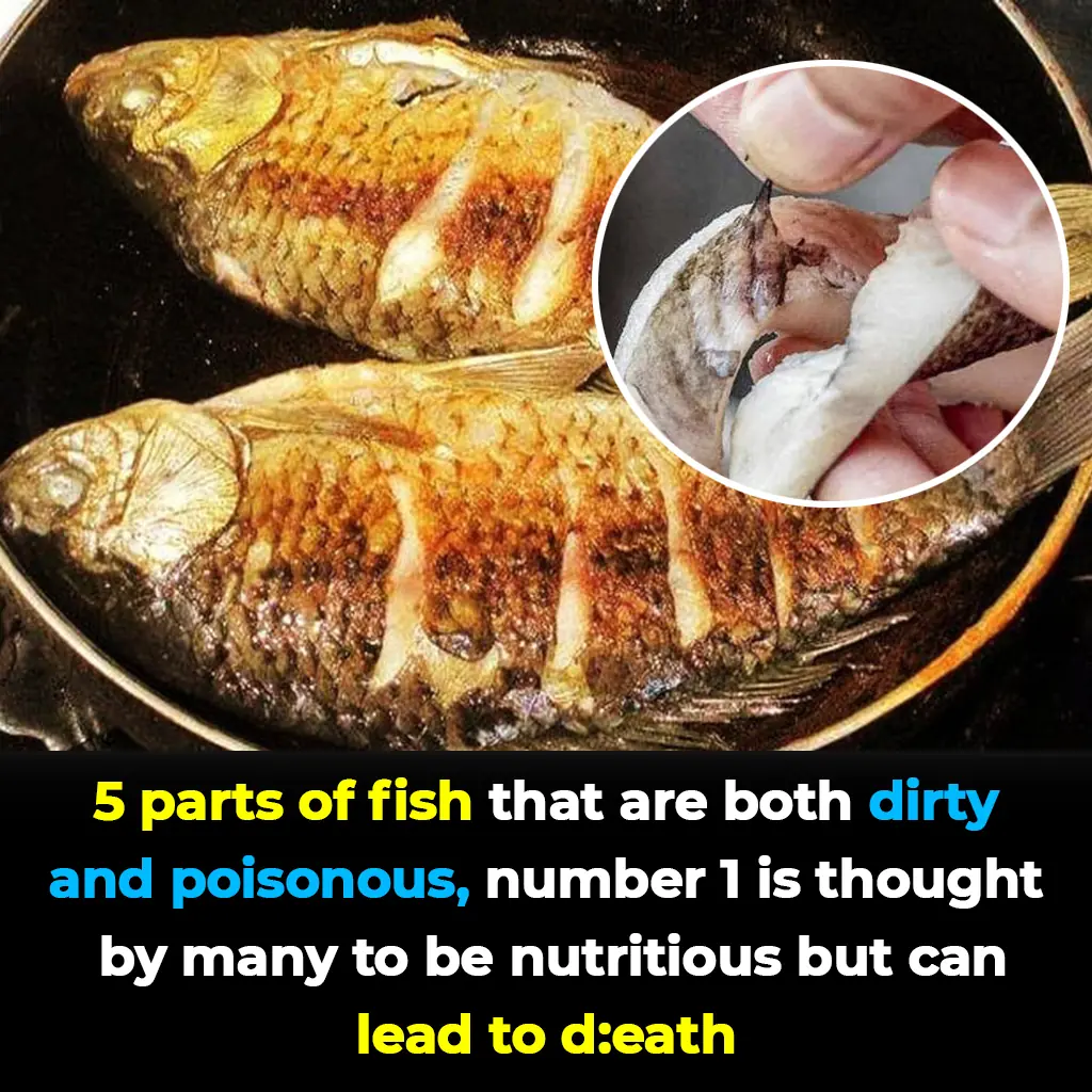 5 Fish Parts You Should Never Eat – The #1 “Nutritious” Organ Could Turn Deadly