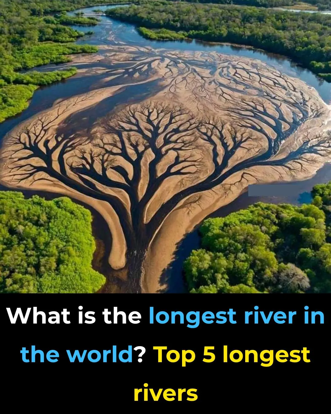 What Is the Longest River in the World? Top 5 Longest Rivers
