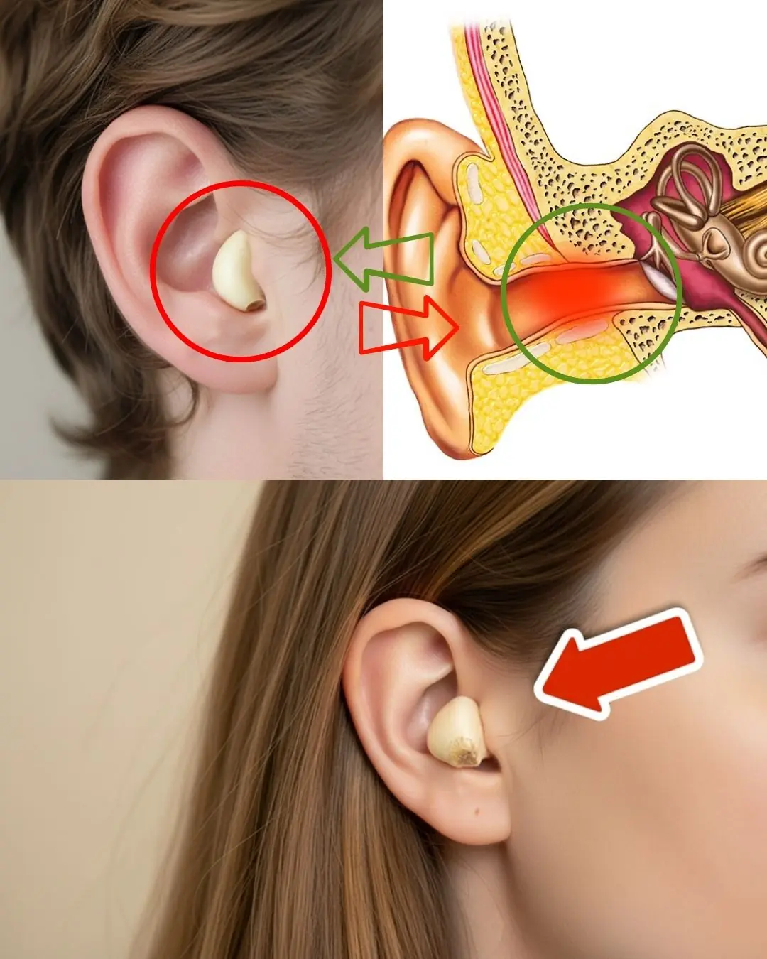 🧄🧅 Garlic and Onion: The Natural Secret to Better Hearing
