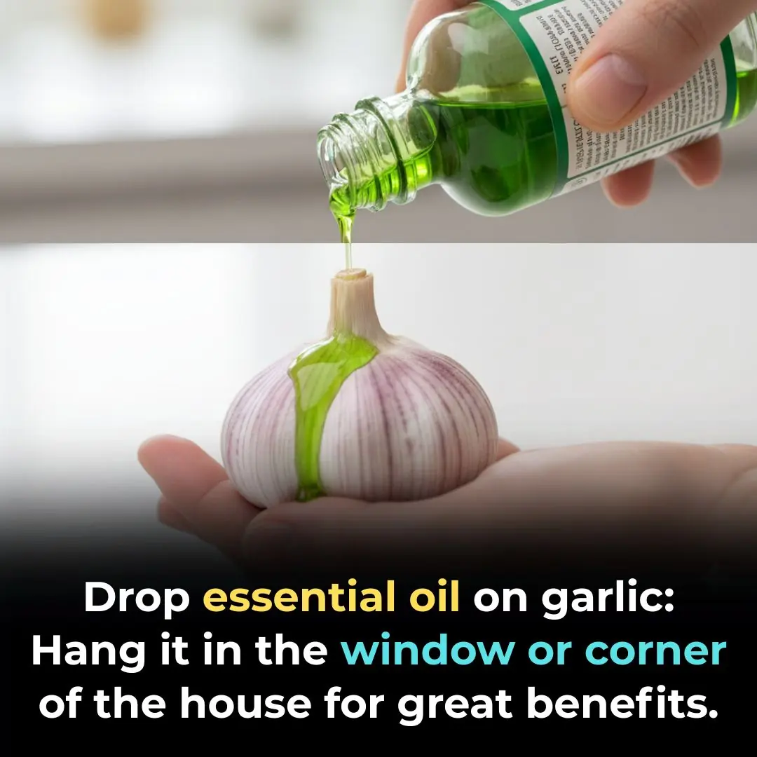 Drop essential oil on garlic: Hang it in the window or corner of the house for great benefits.