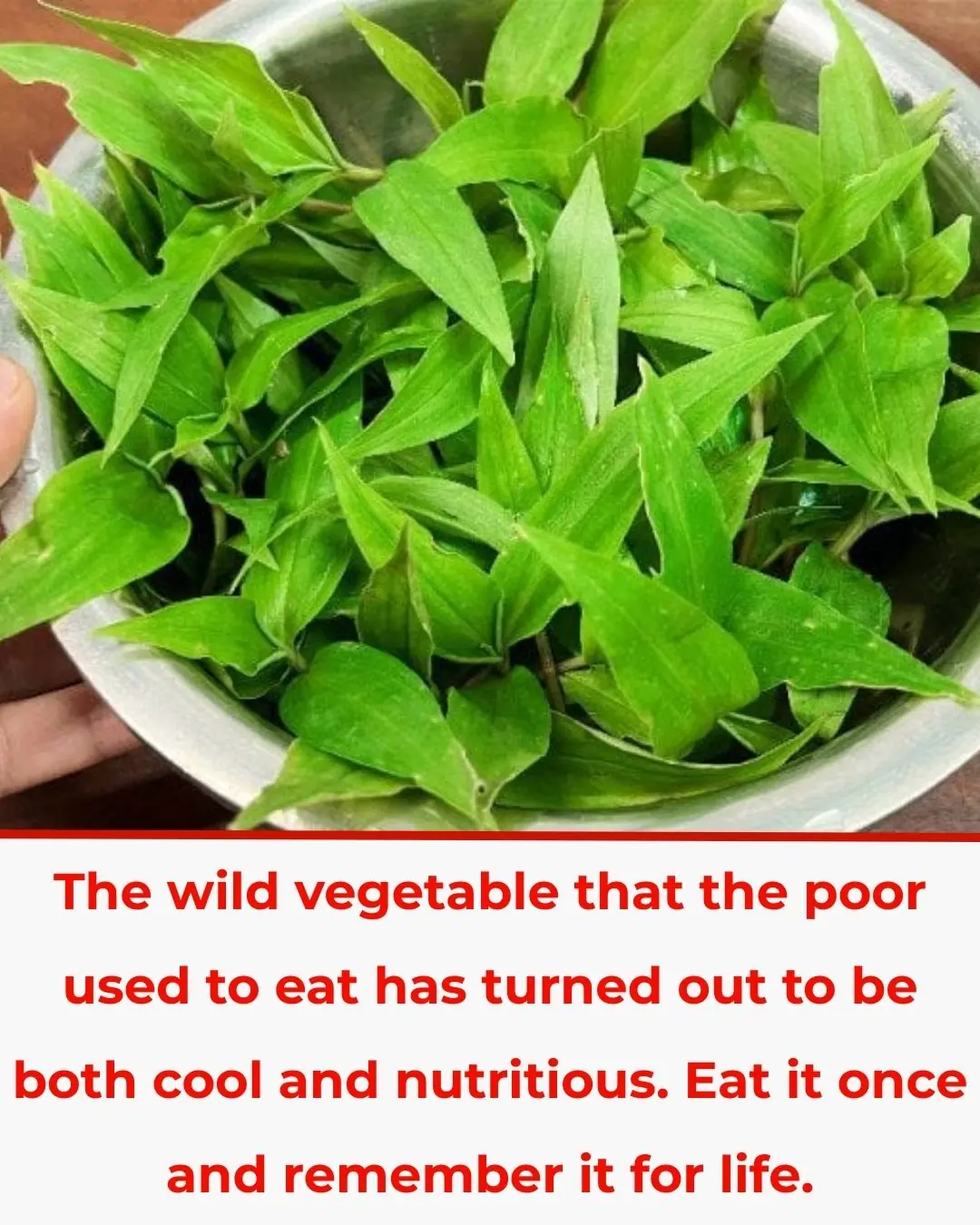 The wild vegetable that the poor used to eat turned out to be both cool and nutritious. Eat it once and remember it for life.