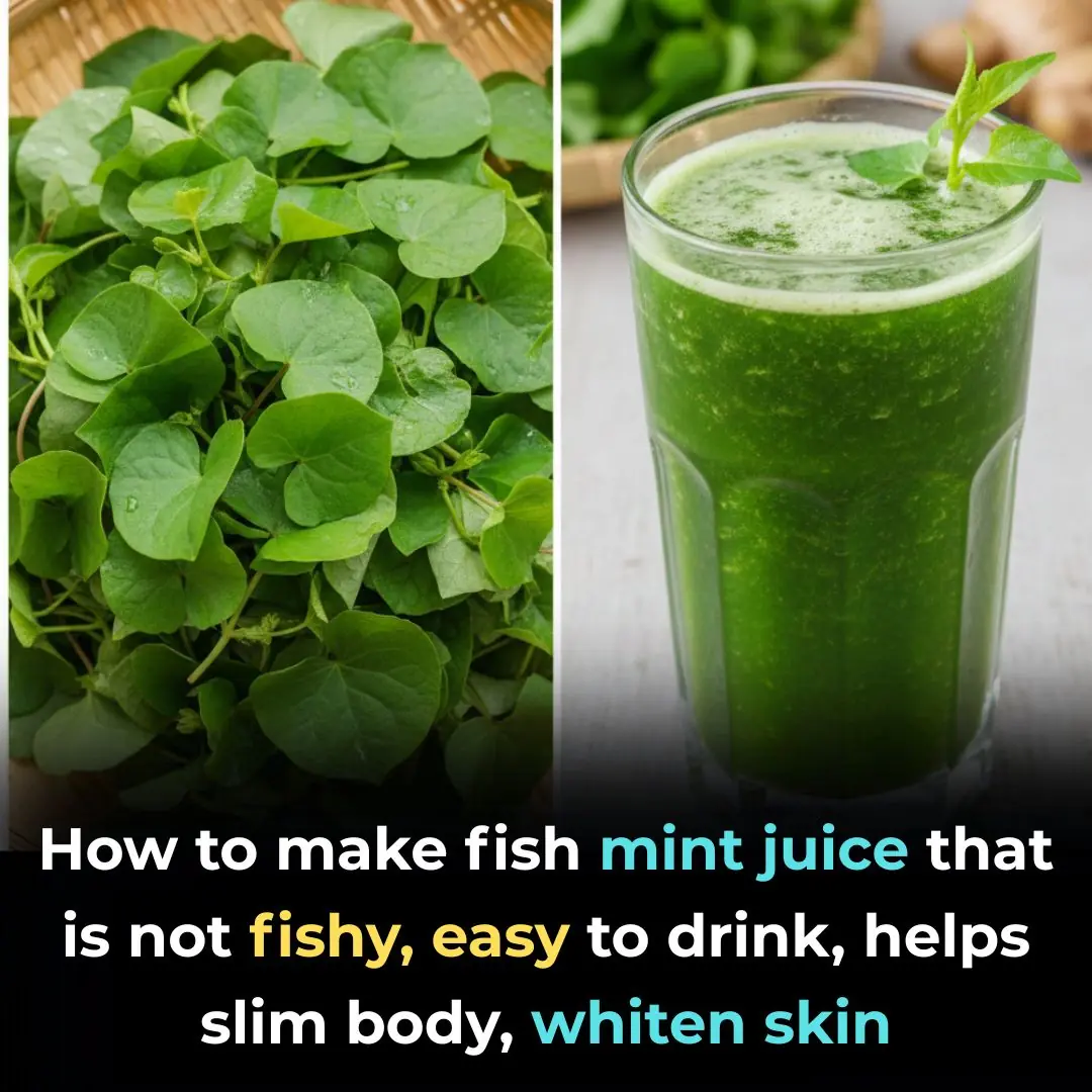 How to make fish mint juice that is not fishy, ​​easy to drink, helps slim body, whiten skin