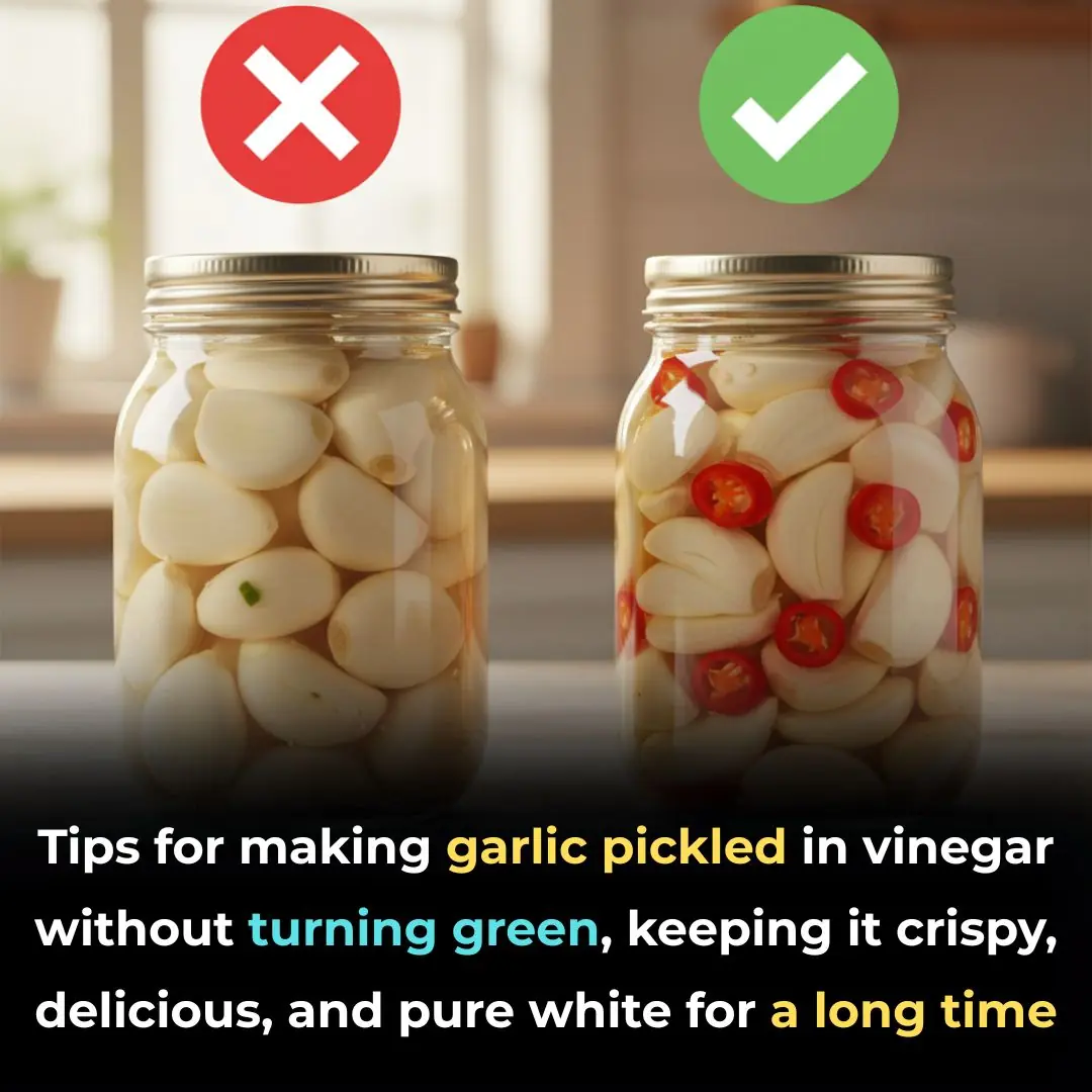 Soak Garlic in Vinegar This Way to Keep It White, Crunchy, and Delicious
