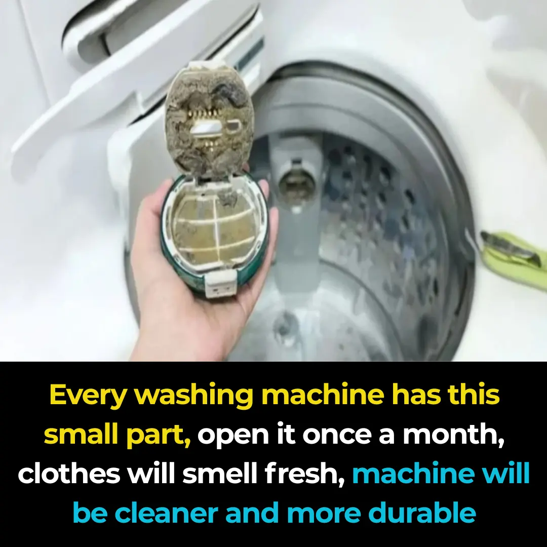 Every washing machine has this small part; open it once a month, and your clothes will smell fresh while your machine stays clean and lasts longer.