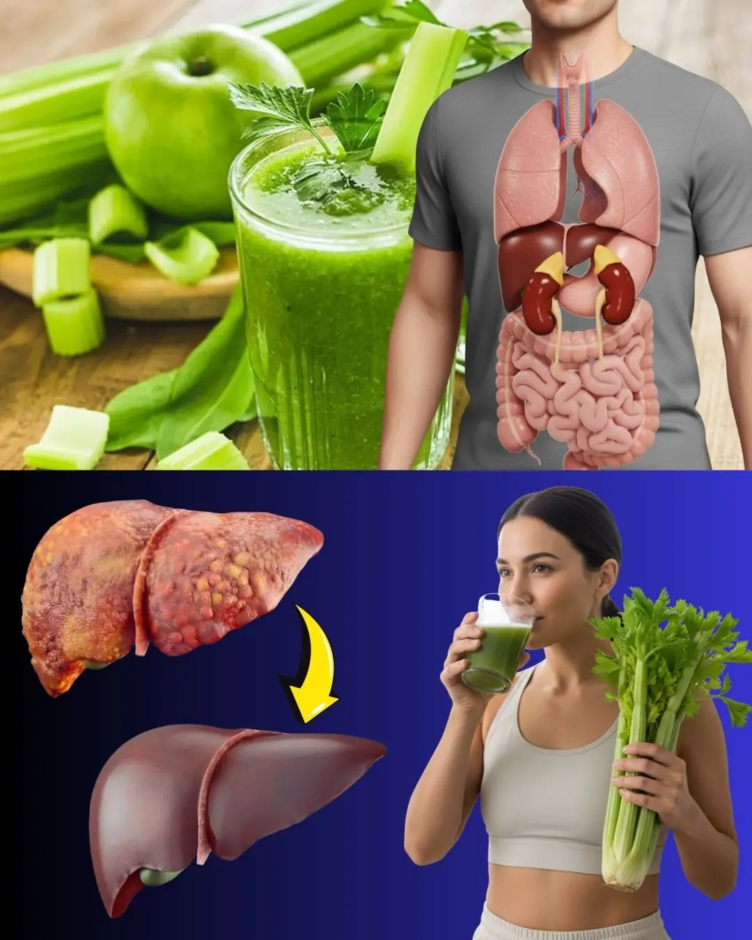 🌿 Celery for the Kidneys and Liver: The Natural Cleanser Your Body Will Thank You For