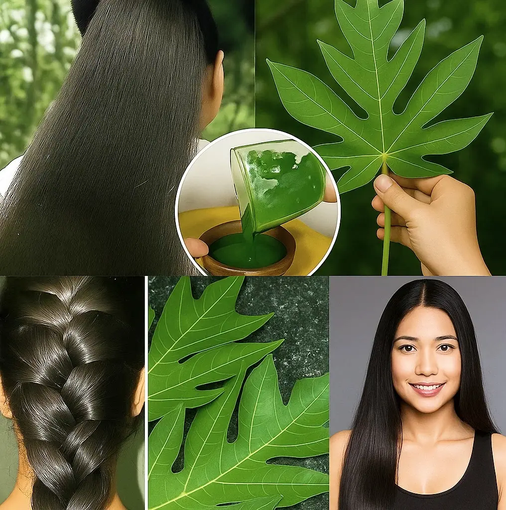 Papaya Leaves and Gray Hair: Can This Tropical Secret Restore Natural Color and Boost Hair Growth?
