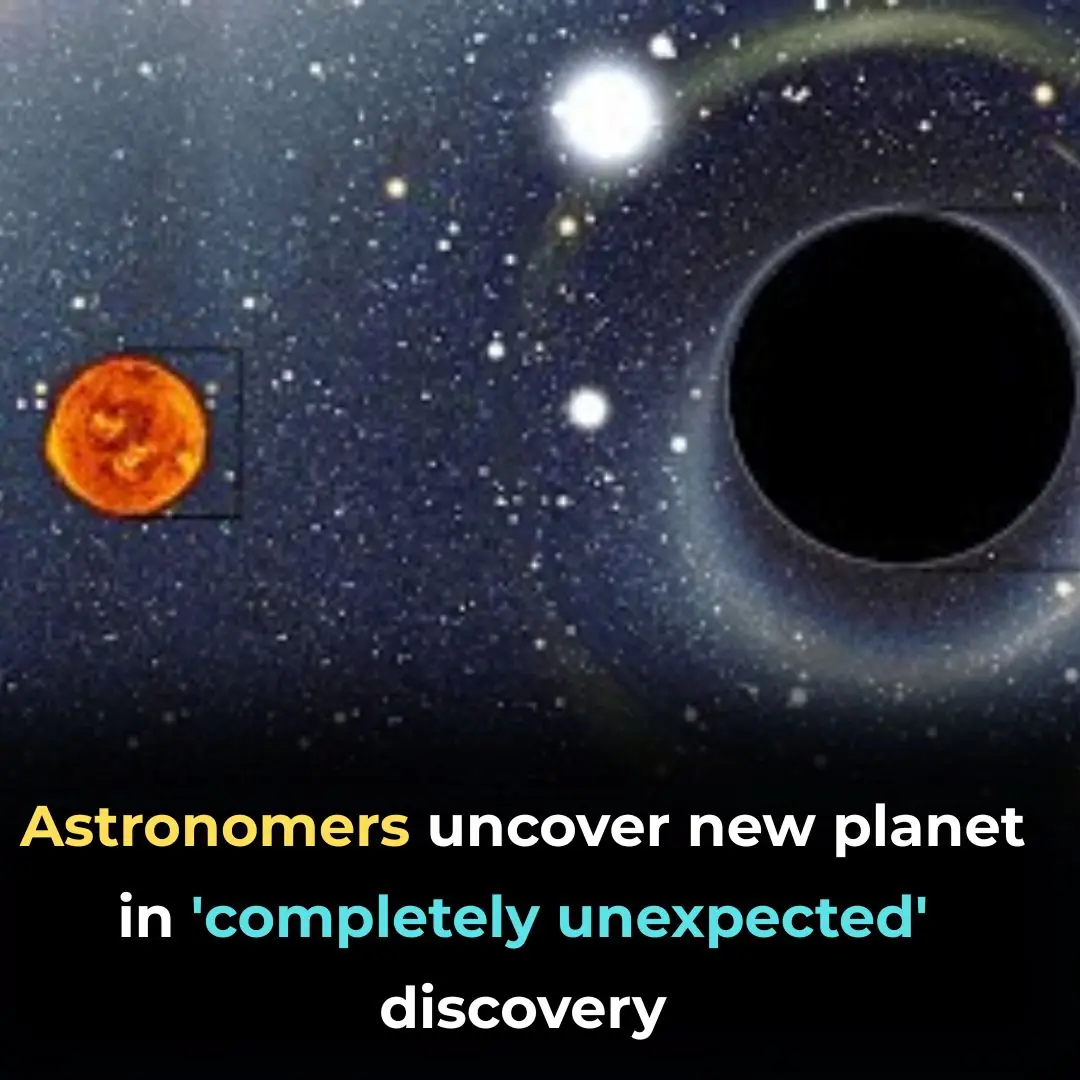 Astronomers uncover new planet in 'completely unexpected' discovery