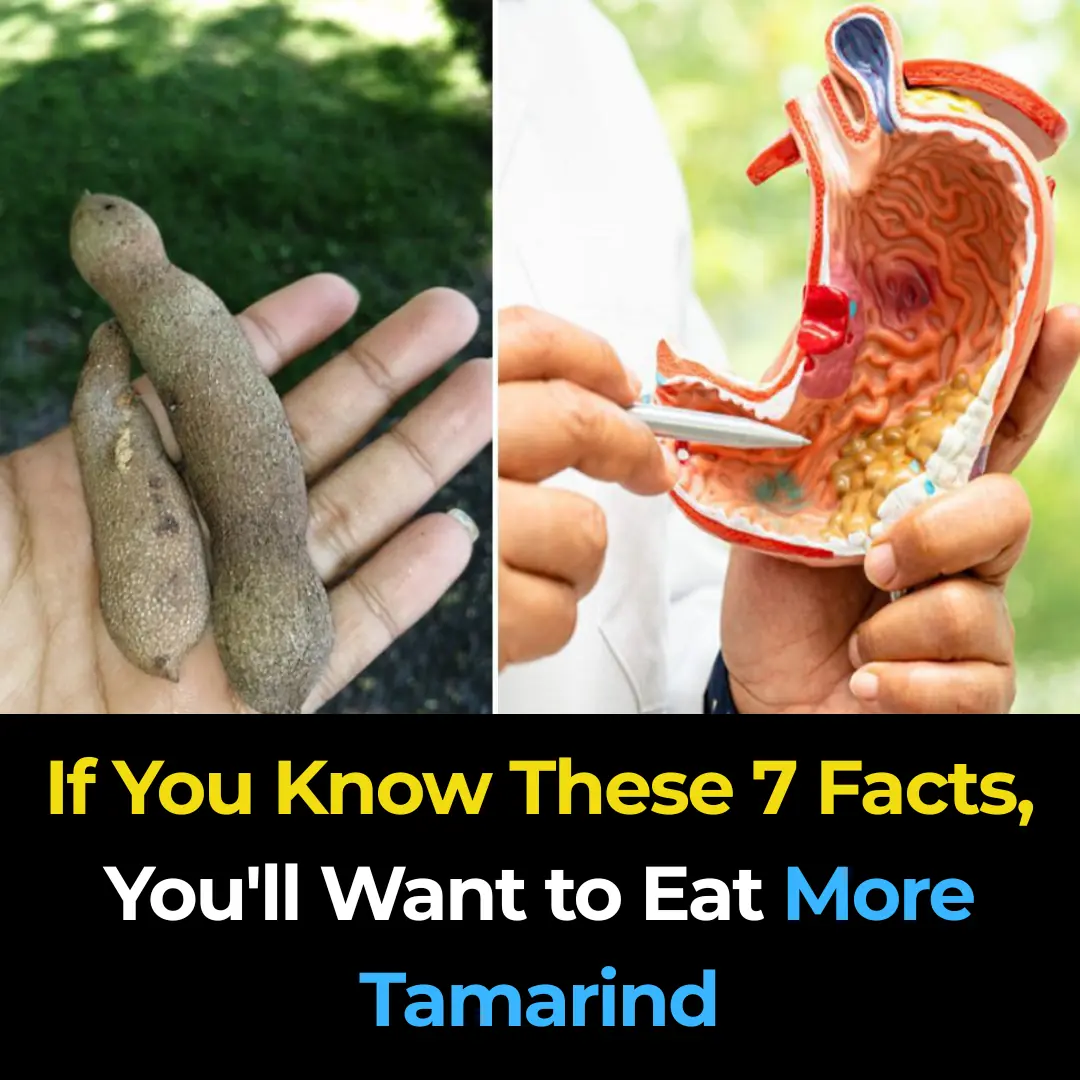 The Power of Tamarind Fruits: Sweet, Sour & Supercharged with Health Benefits