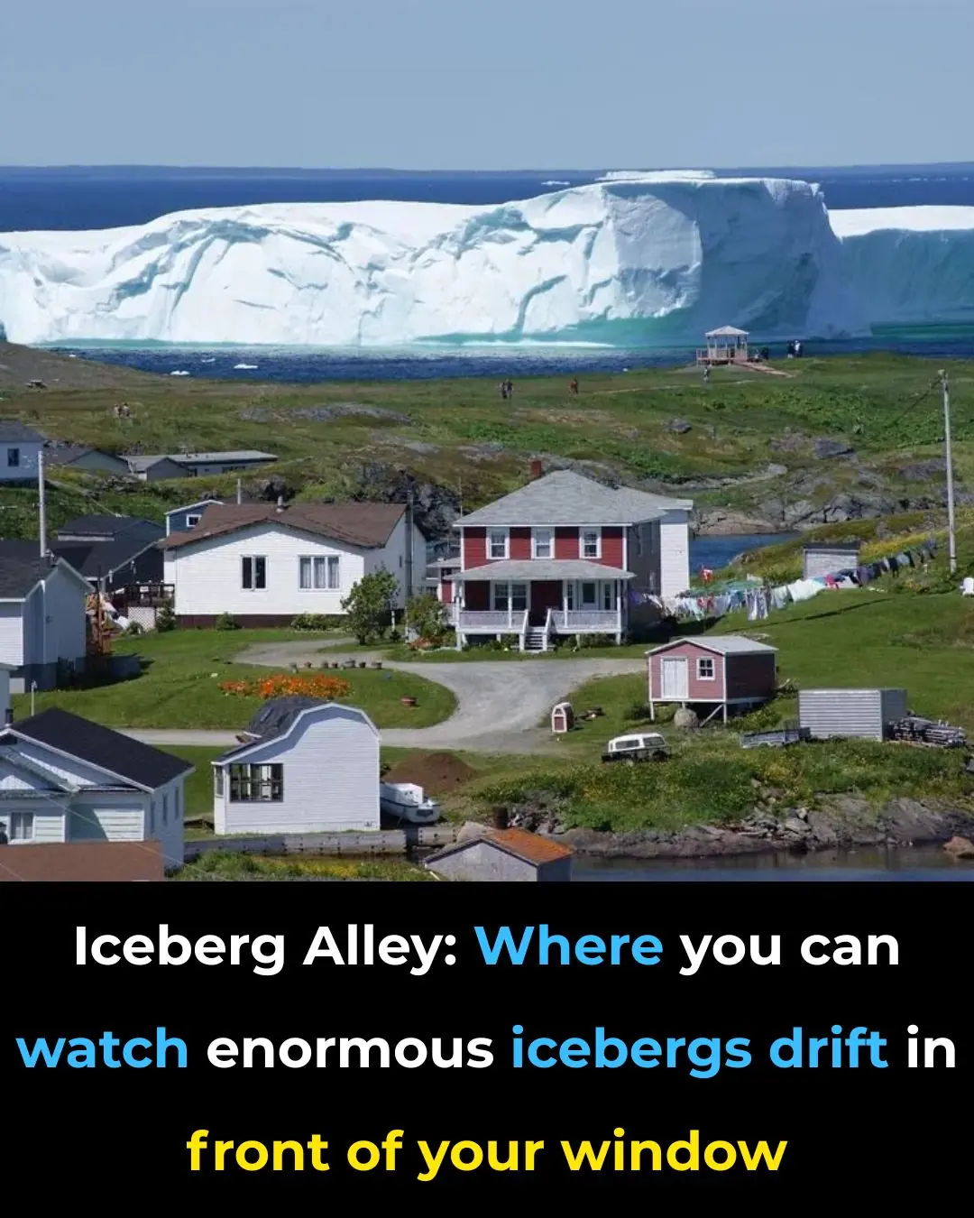 Iceberg Alley: Where You Can Watch Enormous Icebergs Drift in Front of Your Window