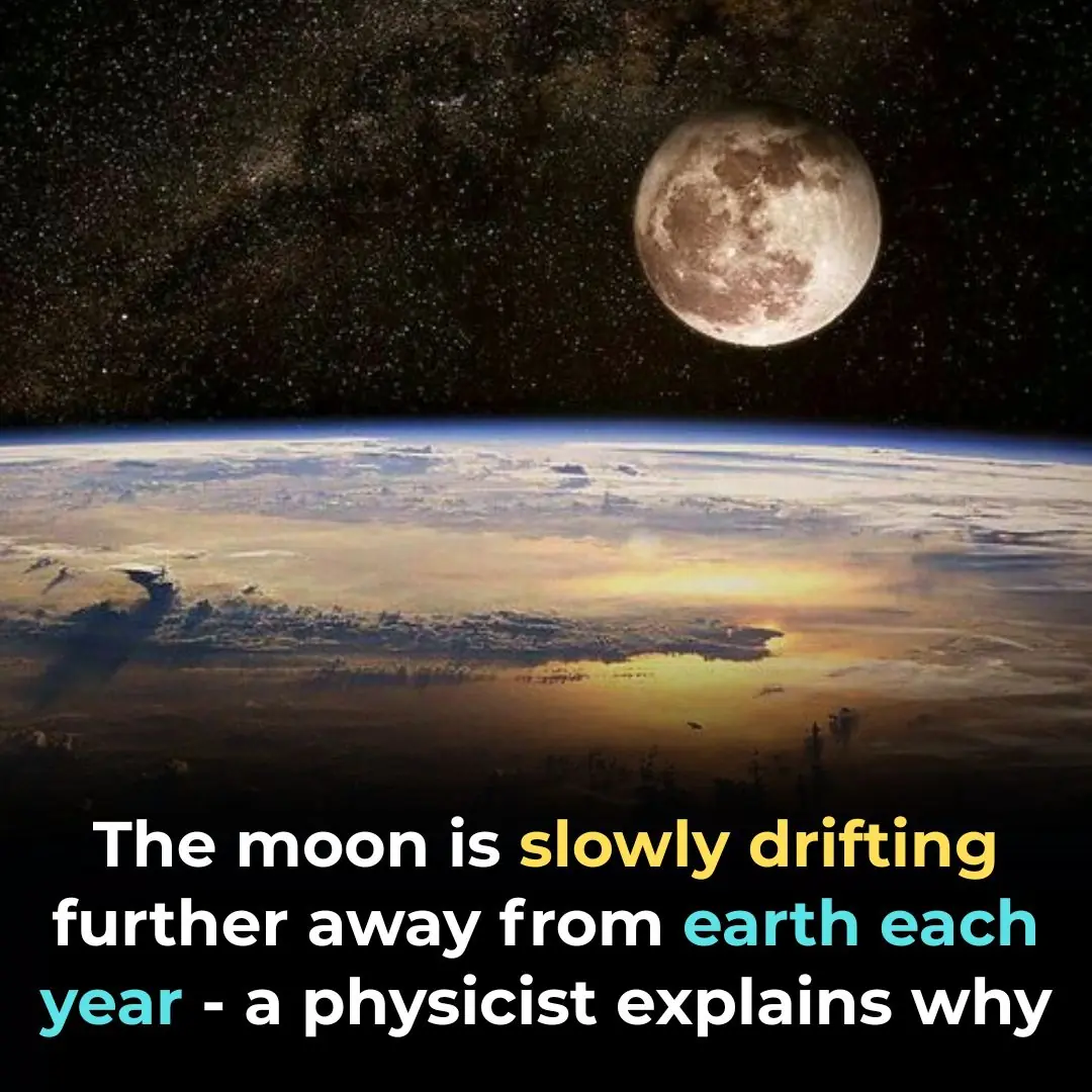 The Moon Is Slowly Drifting Further Away From Earth Each Year — A Physicist Explains Why