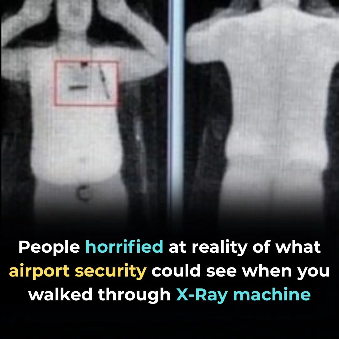 Horrifying Reality Of What Airport Security Are Able To See