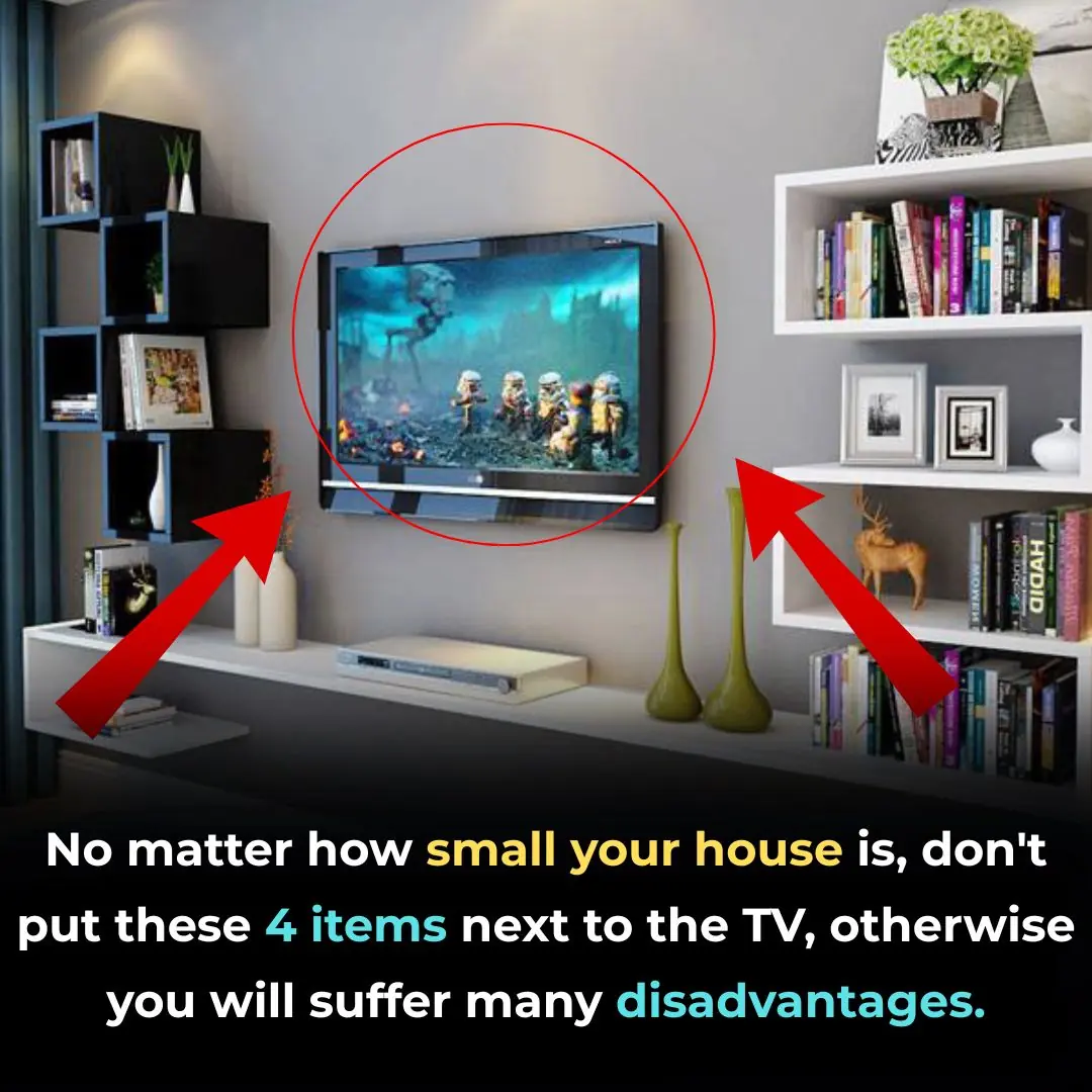 No matter how small your house is, don't put these 4 items next to the TV, otherwise you will suffer many disadvantages