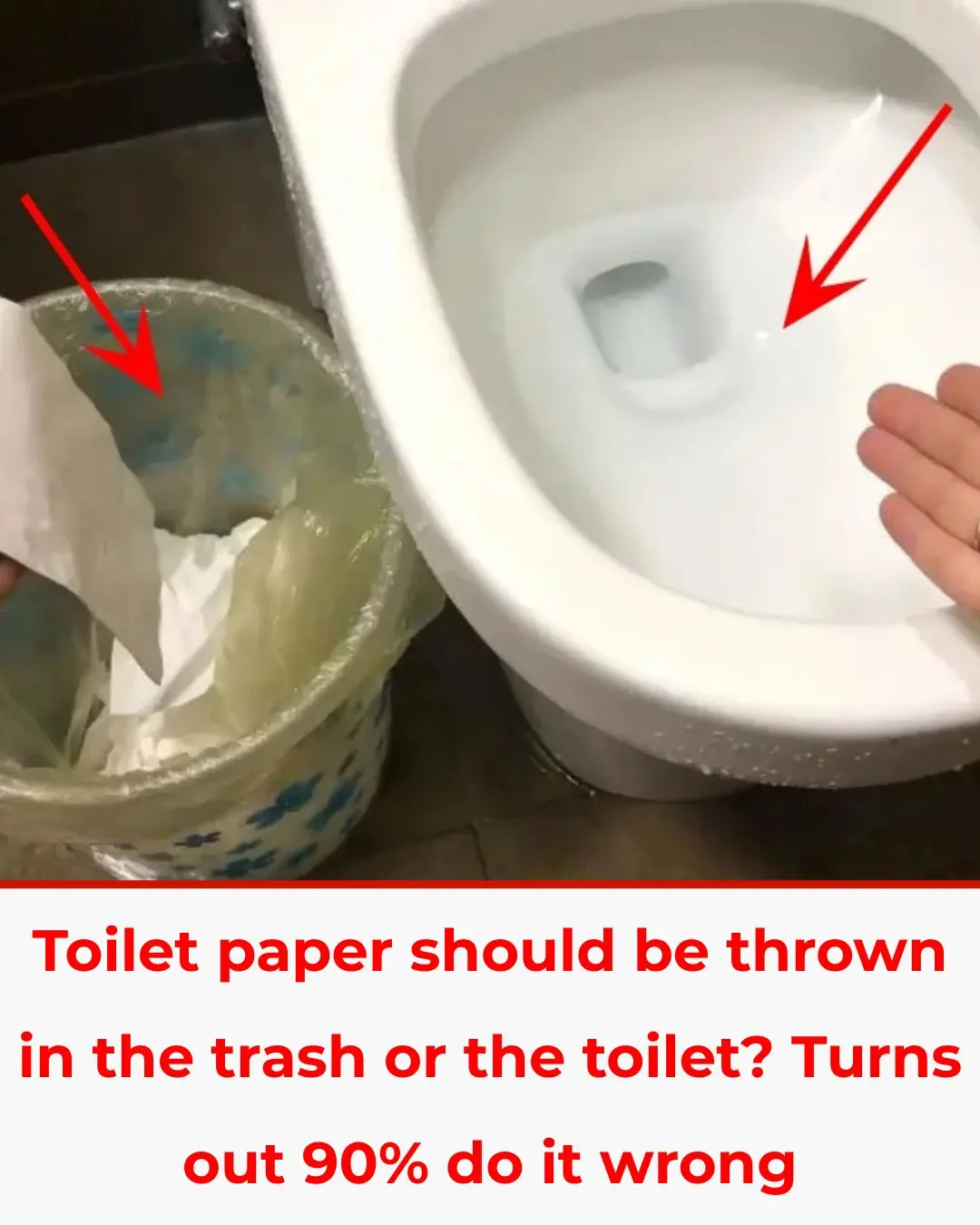 Toilet paper should be thrown in the trash or toilet