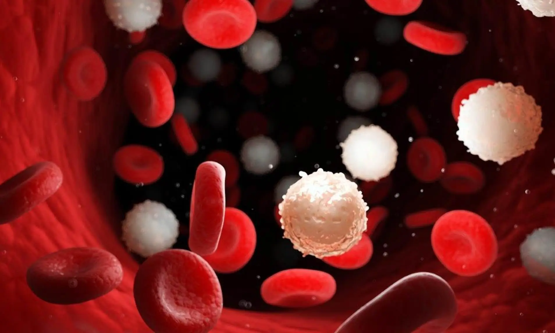 The Health Benefits of Fasting: How It Regenerates Stem Cells, Fights Cancer & Protects Your Heart