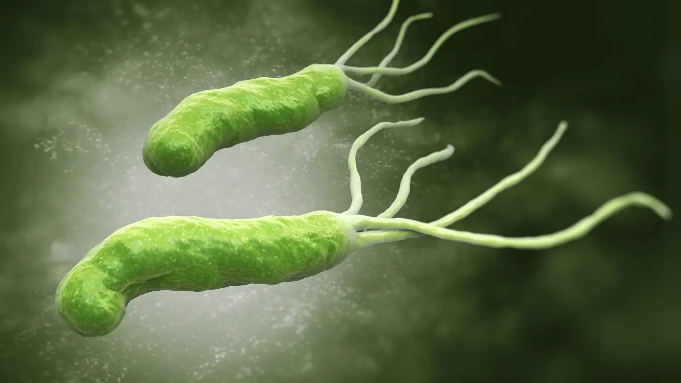 How to Naturally Kill The Bacteria That Causes Bloating And Heartburn