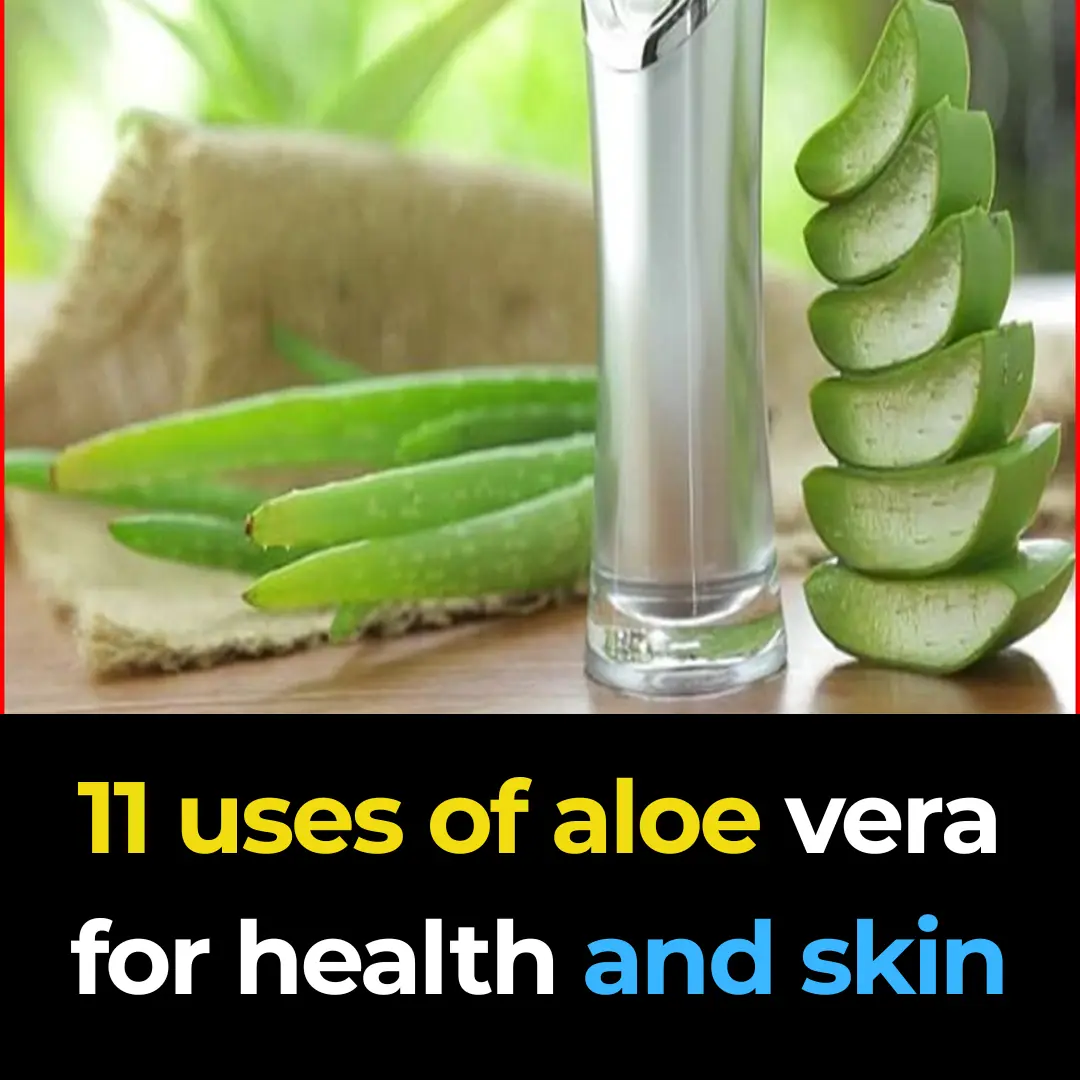What are the benefits of aloe vera? Here are 11 uses of aloe vera for health and skin