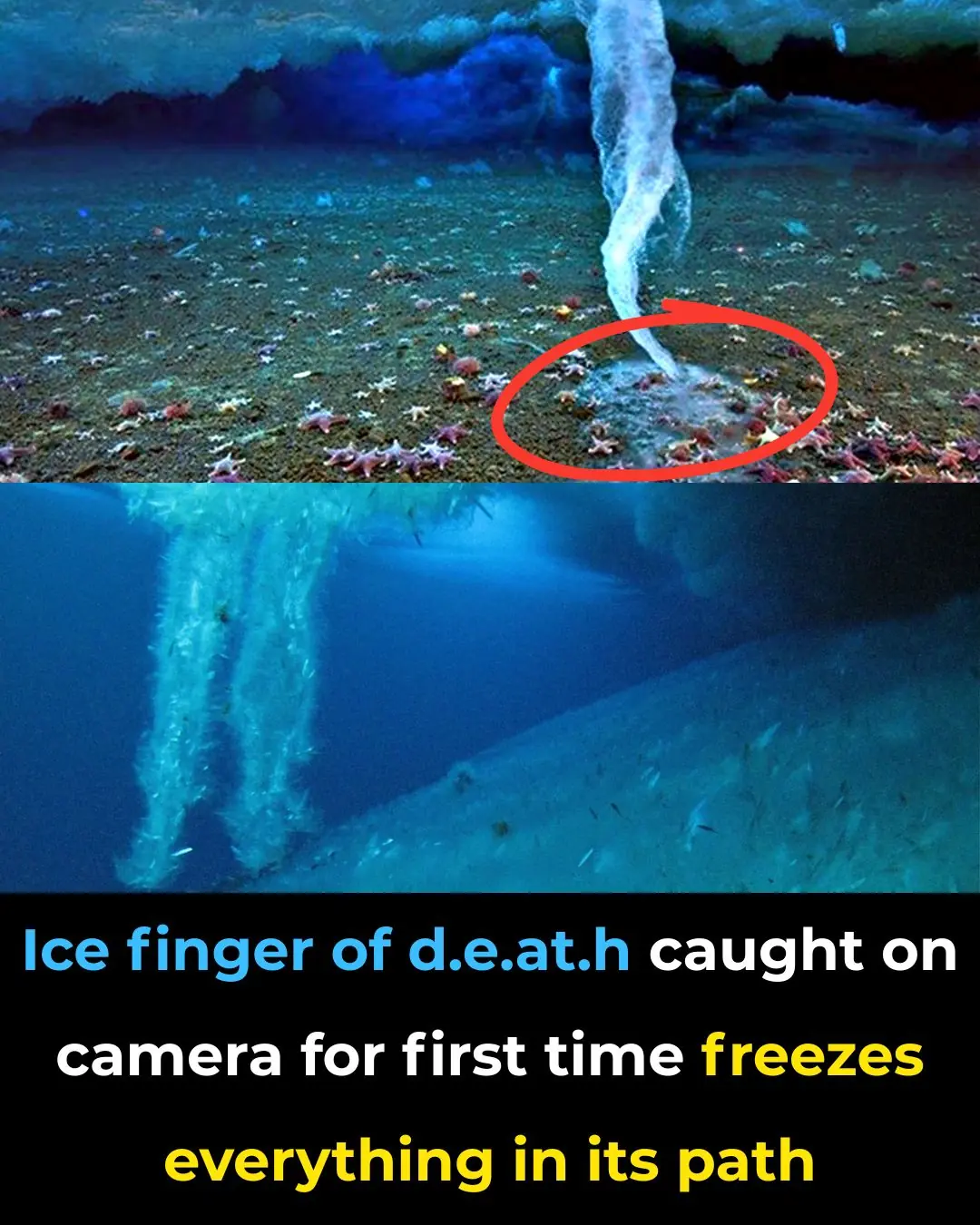 Ice Finger of Death Caught on Camera for First Time Freezes Everything ...