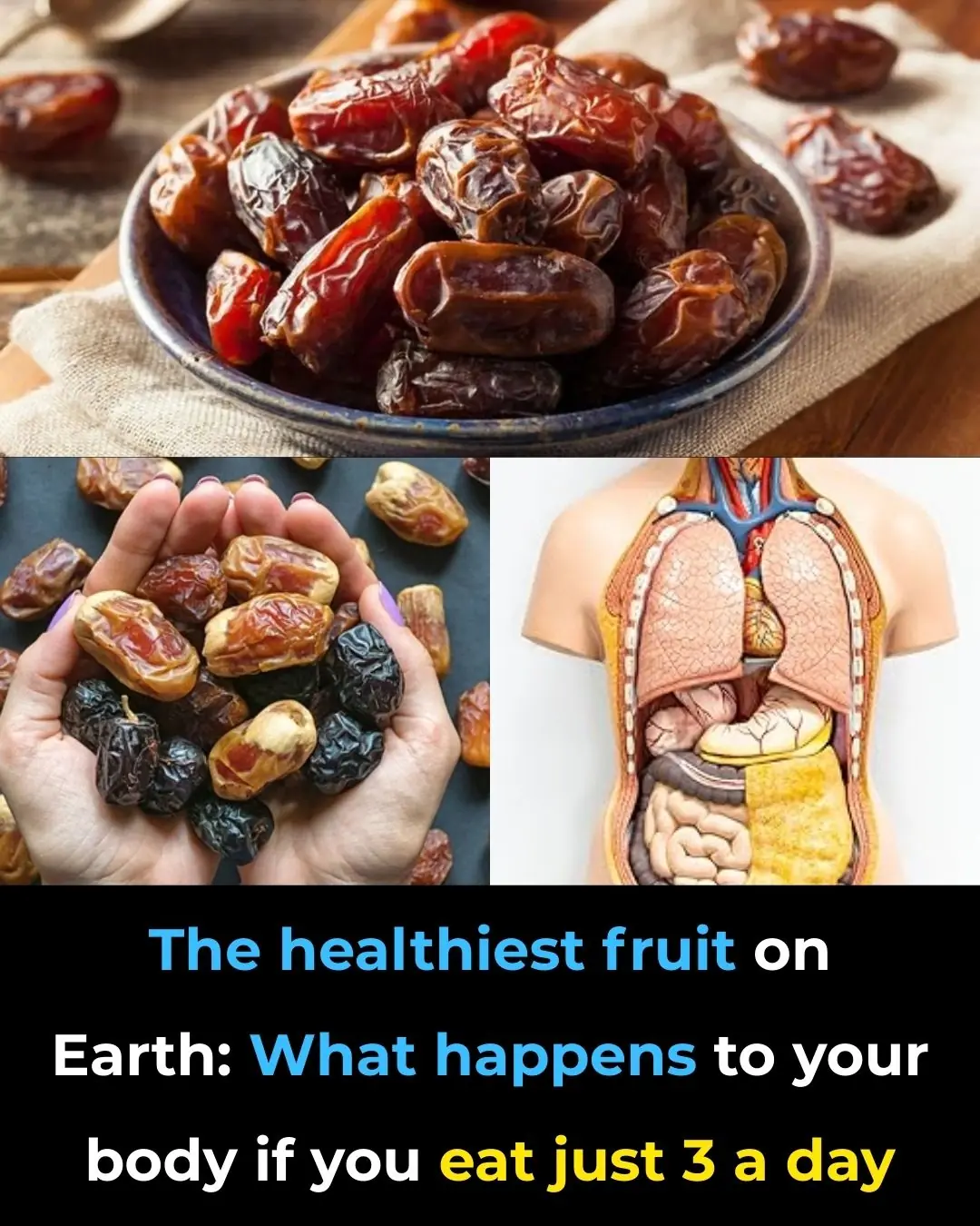 9 Convincing Reasons to Consume More Dates