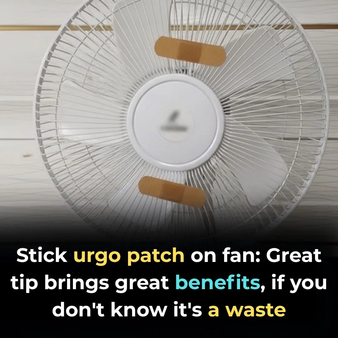 Stick an Urgo Patch on Your Fan: A Clever Trick That Brings Amazing Benefits—Don’t Miss Out if You Haven’t Tried It