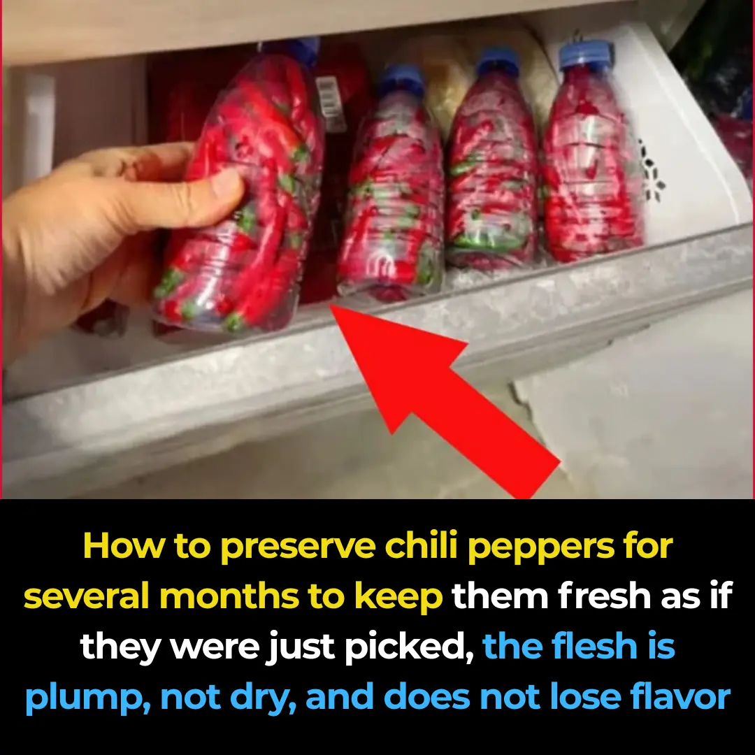 How to store chili peppers for months while keeping them as fresh as the day they were picked, with firm, plump flesh that doesn’t dry out or lose flavor.