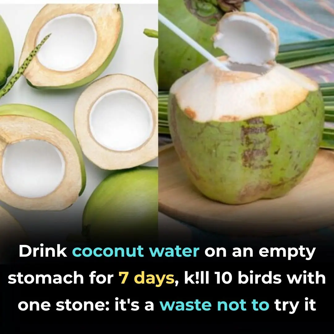 Drink coconut water on an empty stomach for 7 days, kill 10 birds with one stone: it's a waste not to try it