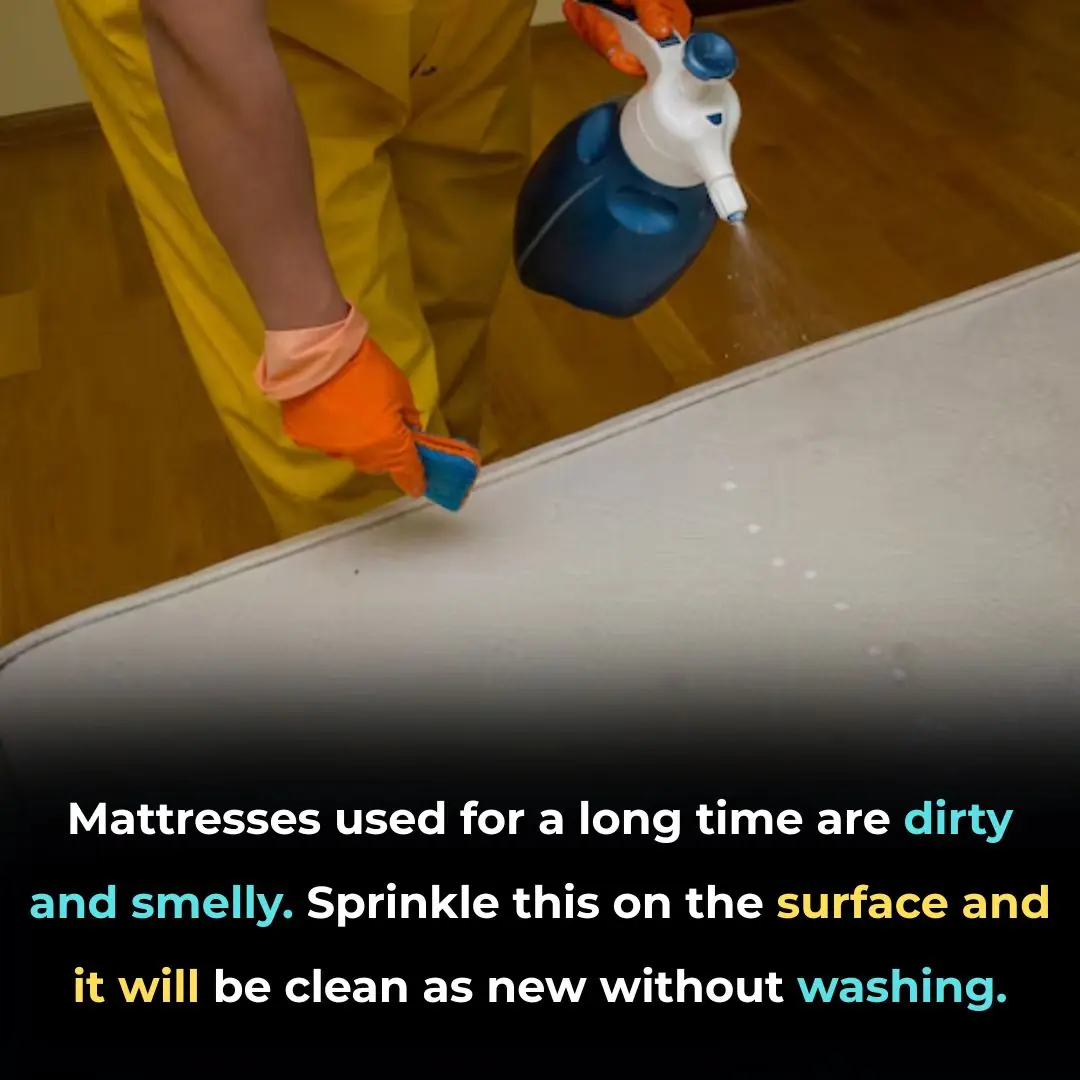 Mattresses used for a long time are dirty and smelly. Sprinkle this on the surface and it will be clean as new without washing.