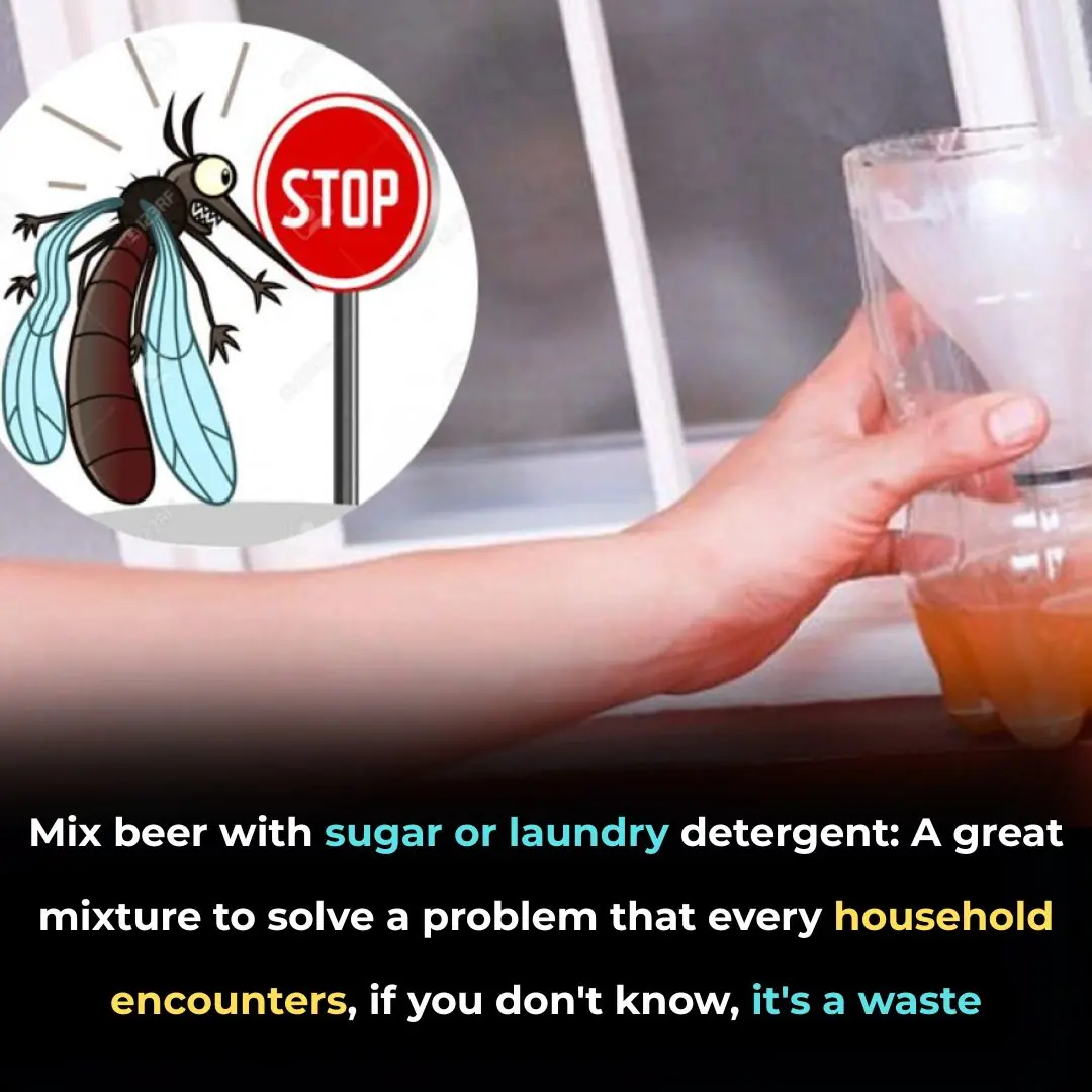 Mix beer with sugar or laundry detergent: A great mixture to solve a problem that every household encounters, if you don't know, it's a waste