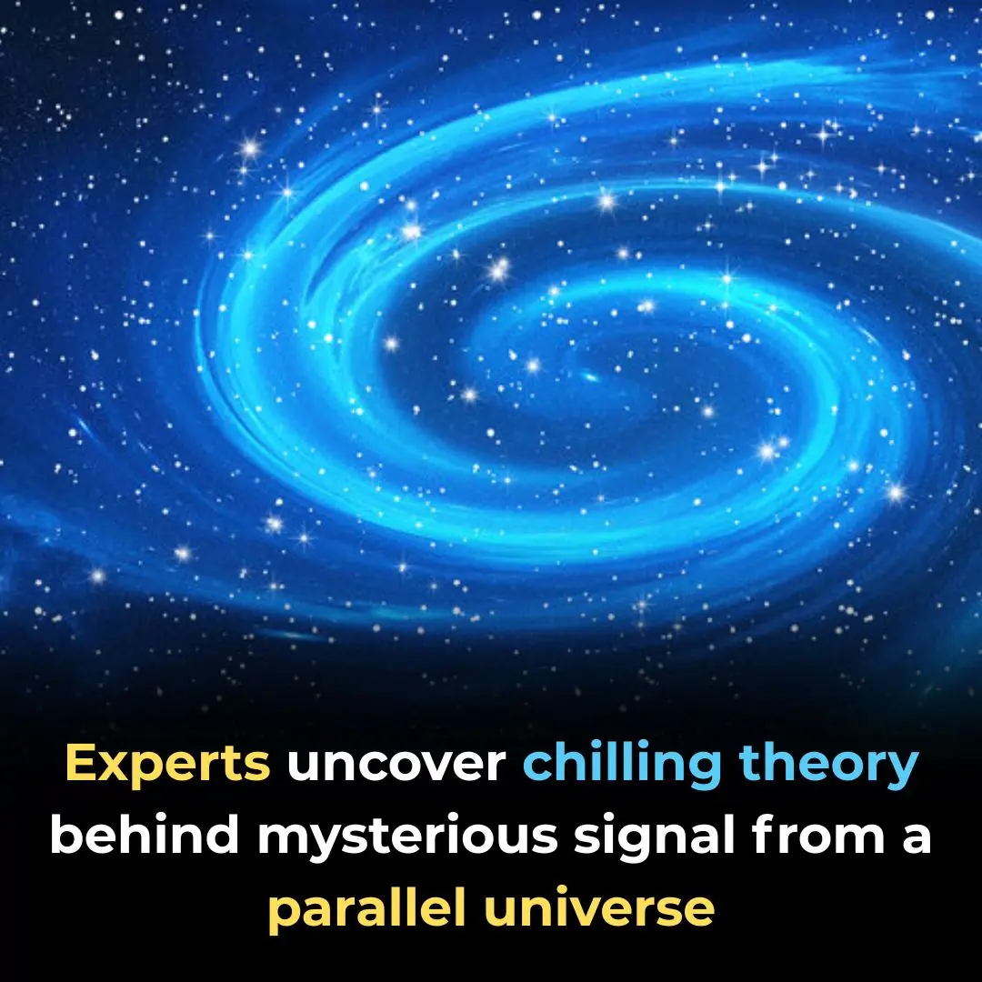Experts uncover chilling theory behind mysterious signal from a
