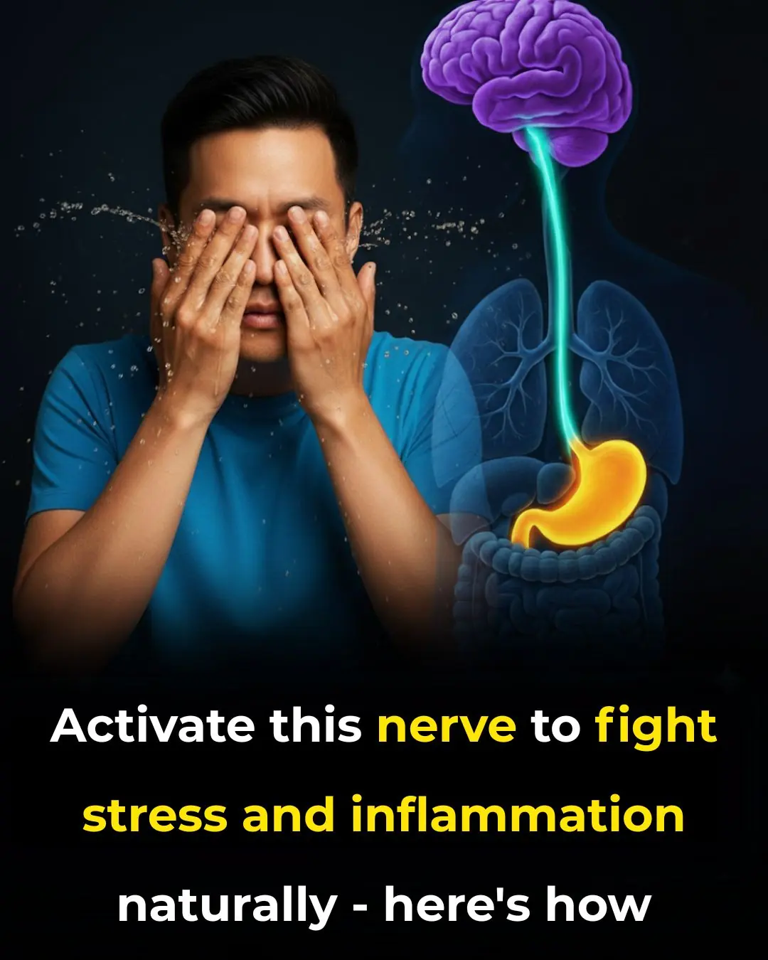 Activate this nerve to fight stress and inflammation naturally – here’s how