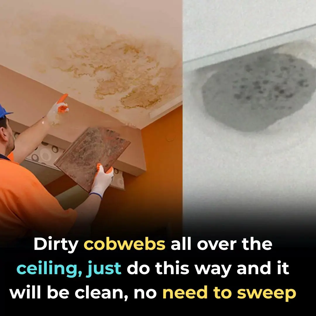 Dirty cobwebs all over the ceiling, just do this way and it will be clean, no need to sweep