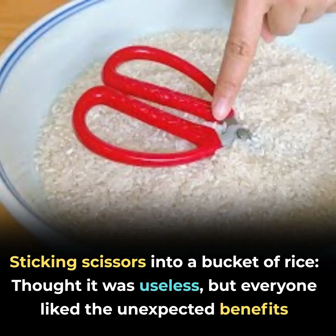 Sticking scissors into a bucket of rice: Thought it was useless, but everyone liked the unexpected benefits